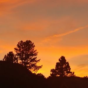 Meet your Posher, Jerry